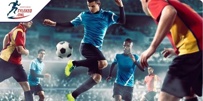 Bật mí cách đặt cược cùng với đọc tỷ lệ 