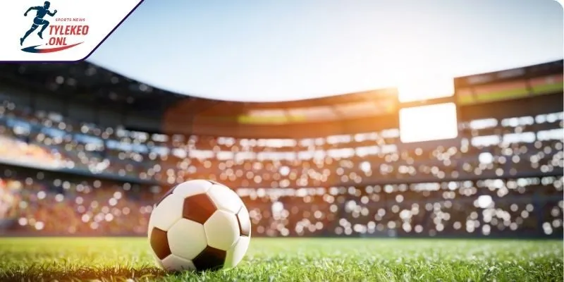 Ưu nhược các loại kèo trong bóng đá phổ biến